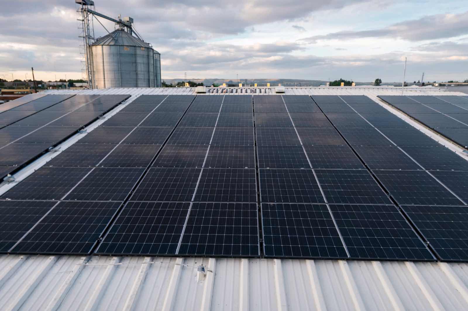 Tenka Solar PV-Module für landwirtschaftliche AGRI-PV-Projekte